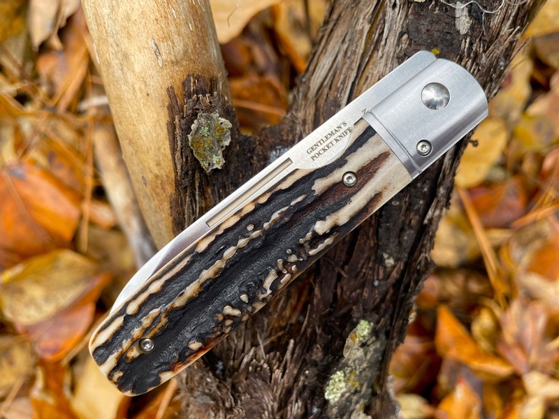 Fallkniven GP Stag Pre order photo