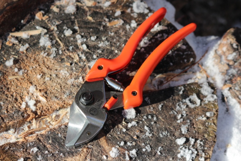 Lowe Anvil Pruners