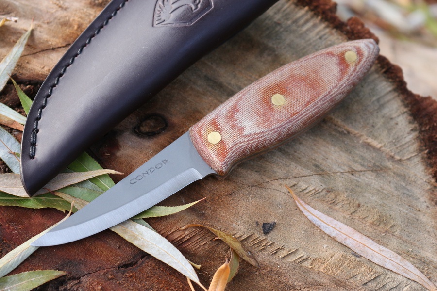 Condor Canyon Carver photo