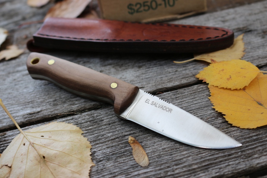 Condor Mayflower photo