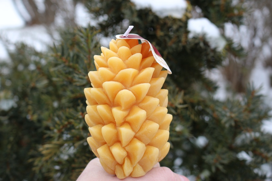 Beeswax Large Pine Cone Candle photo