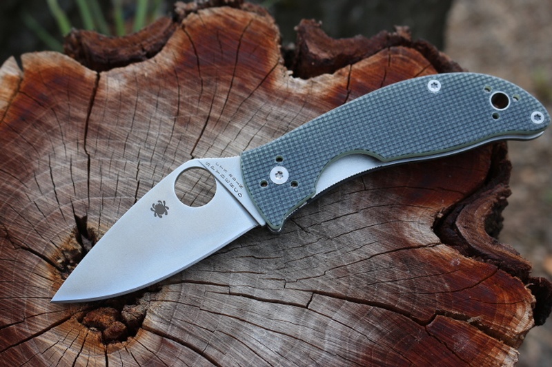 Spyderco Alcyone CTS BD1 Steel photo