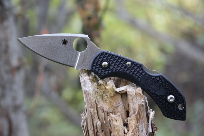 Spyderco Dragonfly 2 Black VG10 photo