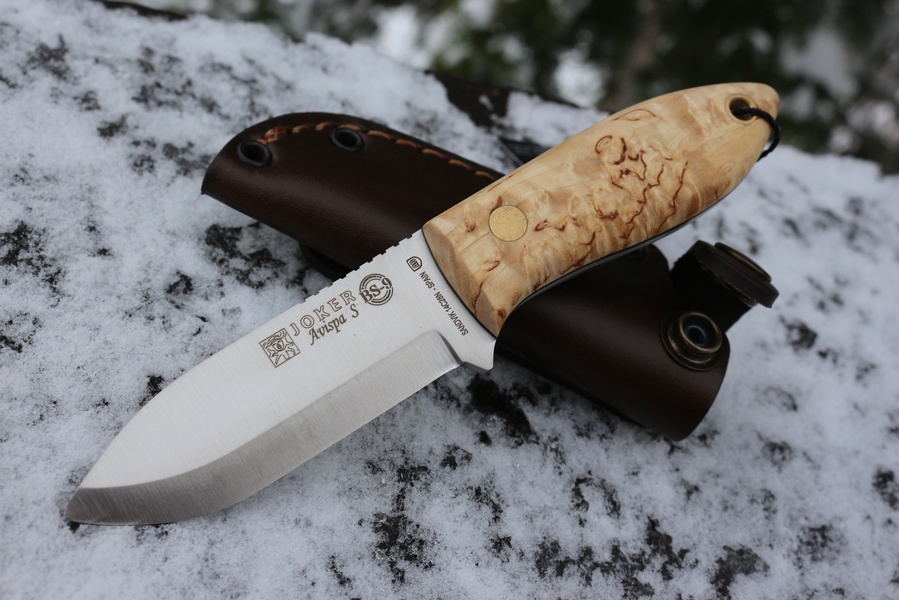 Joker Avispa Curly Birch