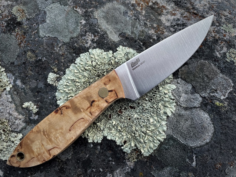 Brisa Bobtail Curly Birch Flat photo