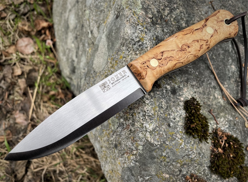 Joker Bushlord Curly Birch photo