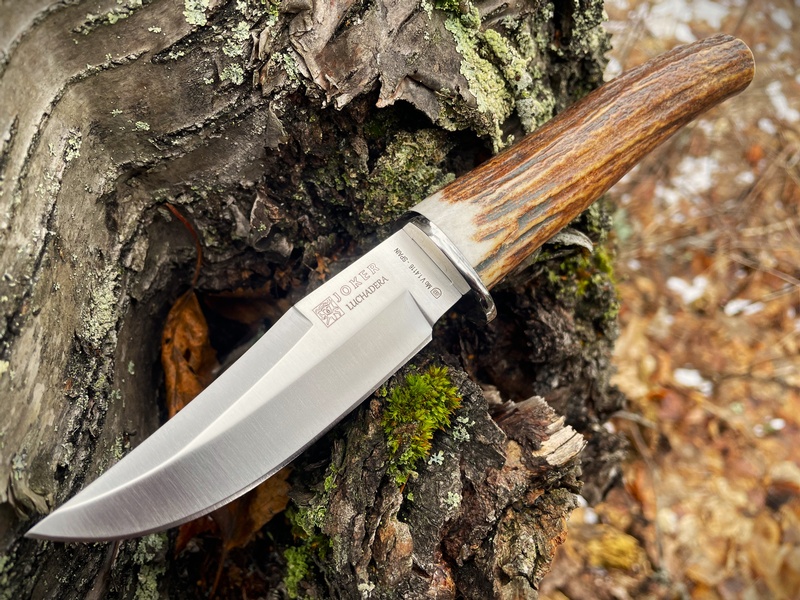 Joker Luchadera Stag Antler