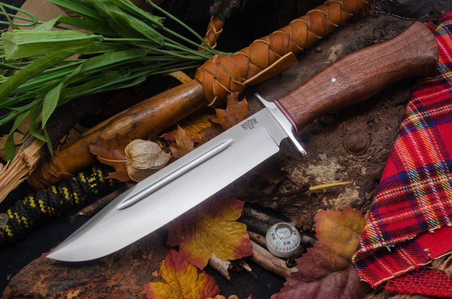 Barkriver Teddy 2 Moran photo