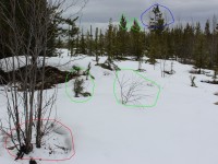 The Natural Navigator Competition photo