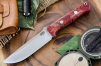 Bravo 1.25 A2 Red Maple Burl Ramped photo