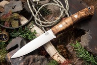 Barkriver Aurora 3V Dark Curly Maple Red Liner #1 photo