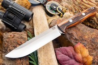 Barkriver Bravo 1.5 3V Desert Ironwood Red Liner Rampless #1 photo