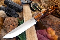 Barkriver Bravo 1.5 3V Desert Ironwood Red Liner Rampless #2 photo