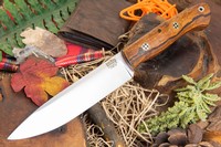 Barkriver Aurora 2 3V Desert Ironwood Red Liners Mosaics #1 photo