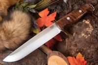 Barkriver Bravo-2 3V Dark Curly Maple Red Liner Rampless #4 photo