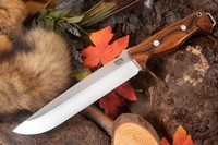 Barkriver Bravo-2 3V Desert Ironwood Red Liner Ramped #3 photo