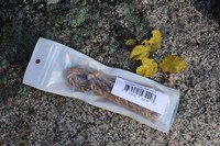 Tindar Wick and Bellow refill Photo