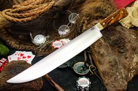 Barkriver Edwin Forrest Bowie A2 Desert Ironwood Red Liner #2 photo