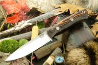 Barkriver Aurora 3V Desert Ironwood Red liner Mosaic #3 photo