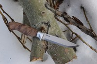 Cosmo Adventure Knife Maple Burl #3 photo
