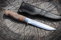 Cosmo Adventure Knife Maple Burl #3596 photo