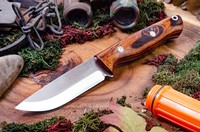 Barkriver Gunny Scandi 3V Desert Ironwood Red Liner Mosaics Rampless #10 photo