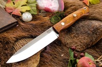 Barkriver Aurora 2 3V Desert ironwood Red Liner Mosaic #3 Photo