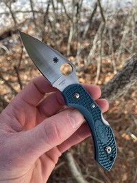 Spyderco Dragonfly 2 Blue K390 photo