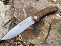 Joker Cocker Bocote Photo