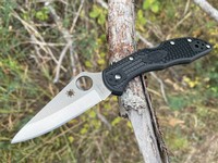 Spyderco Delica Black Photo