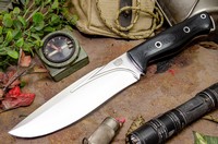 Barkriver Strike Force 2 3V Black G10 Hollow Pins photo