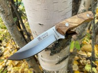 Joker Arrui 10 Olivewood Photo