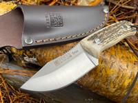 Joker Erizo Stag Photo