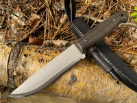BPS Nighthawk Adventurer Photo