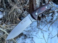 Joker Corzo Redwood Photo