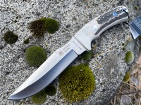 Joker Gamo Stag Photo