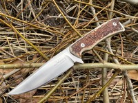 Otter Rotwild Hawk Stag N690 Photo