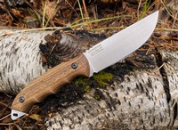 BPS HK4 Carbon Photo