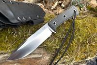 NEW TRC Apocalypse Prime #213 Photo